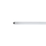 TUB NEON 36W